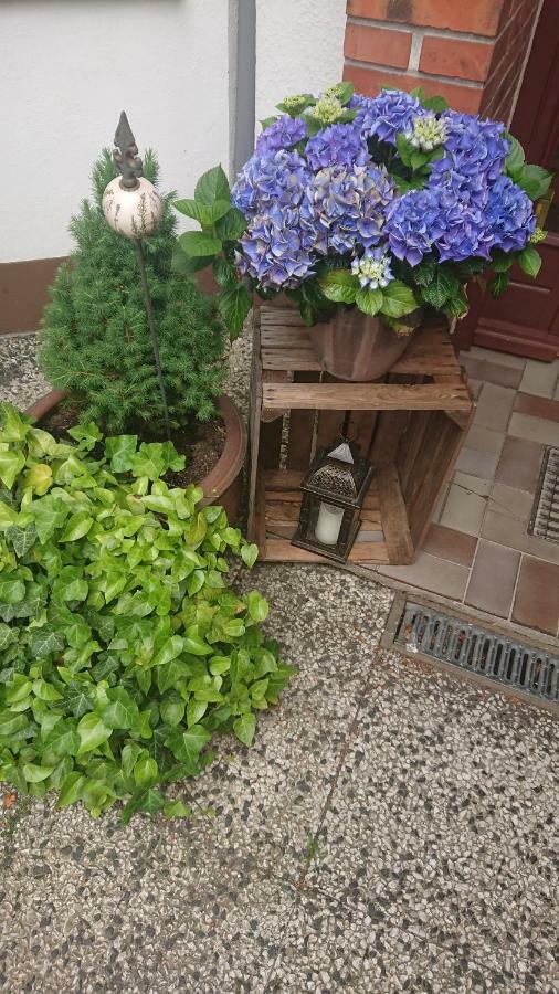 Karby Ferienwohnung Ostsee מראה חיצוני תמונה